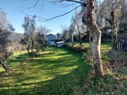 Terreno Rstico - Bouro (Santa Maria), Amares, Braga - Miniatura: 3/9