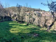 Terreno Rstico - Bouro (Santa Maria), Amares, Braga - Miniatura: 9/9