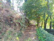 Terreno R�stico - Fiscal, Amares, Braga - Miniatura: 5/6