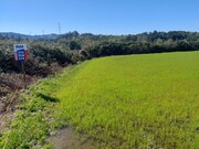 Terreno R�stico - Ferreiros, Amares, Braga - Miniatura: 2/2