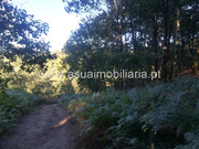 Terreno R�stico - Torre, Amares, Braga - Miniatura: 3/6