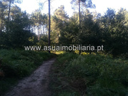 Terreno R�stico - Torre, Amares, Braga - Miniatura: 4/6