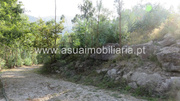 Terreno R�stico - Valdosende, Terras de Bouro, Braga - Miniatura: 2/6