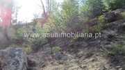 Terreno R�stico - Valdosende, Terras de Bouro, Braga - Miniatura: 6/6