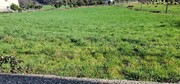 Terreno R�stico - Serzedelo, P�voa de Lanhoso, Braga - Miniatura: 1/9