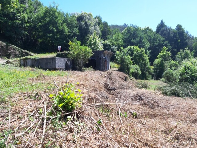 Terreno R�stico - Bouro (Santa Maria), Amares, Braga - Imagem grande