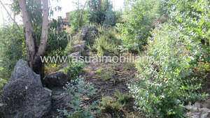 Terreno R�stico - Valdosende, Terras de Bouro, Braga