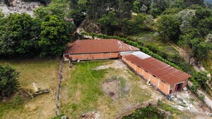 Terreno R�stico - Louredo, Vieira do Minho, Braga
