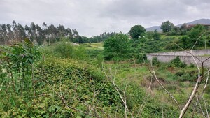 Terreno R�stico - Guilhofrei, Vieira do Minho, Braga