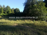 Terreno R�stico - Caldelas, Amares, Braga - Miniatura: 2/3