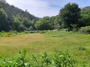 Terreno R�stico - Valdosende, Terras de Bouro, Braga - Miniatura: 3/7