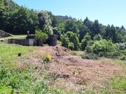 Terreno R�stico - Bouro (Santa Maria), Amares, Braga - Miniatura: 6/9