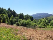 Terreno R�stico - Bouro (Santa Maria), Amares, Braga - Miniatura: 7/9