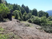 Terreno R�stico - Bouro (Santa Maria), Amares, Braga - Miniatura: 9/9