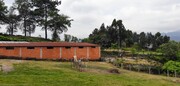 Terreno R�stico - Louredo, Vieira do Minho, Braga - Miniatura: 3/7