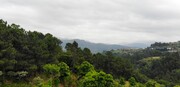 Terreno R�stico - Louredo, Vieira do Minho, Braga - Miniatura: 4/7