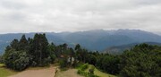 Terreno R�stico - Louredo, Vieira do Minho, Braga - Miniatura: 5/7