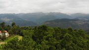 Terreno R�stico - Louredo, Vieira do Minho, Braga - Miniatura: 6/7