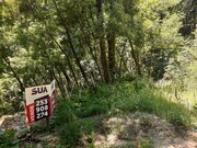 Terreno R�stico - Bouro (Santa Maria), Amares, Braga - Miniatura: 7/9