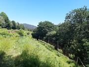Terreno R�stico - Bouro (Santa Maria), Amares, Braga - Miniatura: 9/9