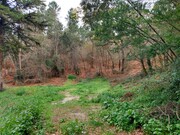 Terreno R�stico - Geraz do Minho, P�voa de Lanhoso, Braga - Miniatura: 2/6