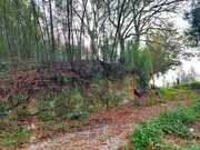 Terreno R�stico - Geraz do Minho, P�voa de Lanhoso, Braga - Miniatura: 3/6
