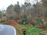 Terreno R�stico - Geraz do Minho, P�voa de Lanhoso, Braga - Miniatura: 4/6