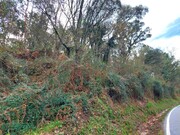Terreno R�stico - Geraz do Minho, P�voa de Lanhoso, Braga - Miniatura: 5/6