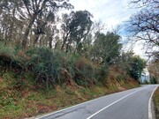 Terreno R�stico - Geraz do Minho, P�voa de Lanhoso, Braga - Miniatura: 6/6