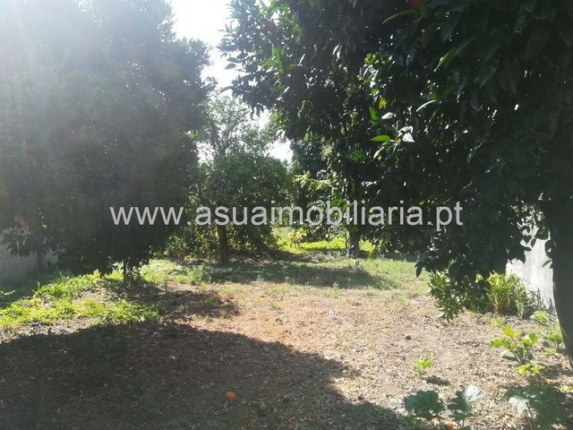 Terreno Rstico - Ferreiros, Amares, Braga - Imagem grande