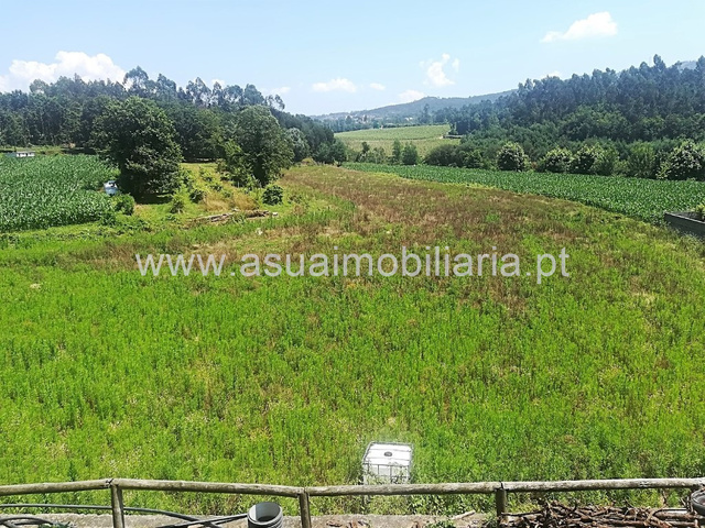 Terreno R�stico - Ferreiros, Amares, Braga - Imagem grande