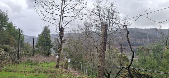 Terreno R�stico - Valdosende, Terras de Bouro, Braga - Imagem grande