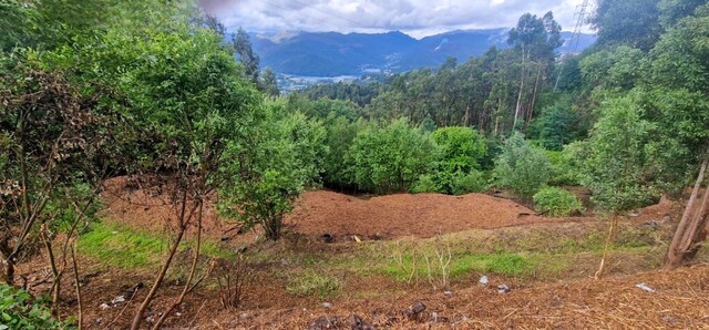 Terreno R�stico - Cani�ada, Vieira do Minho, Braga - Imagem grande