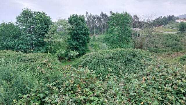 Terreno R�stico - Guilhofrei, Vieira do Minho, Braga - Imagem grande