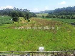 Terreno R�stico - Ferreiros, Amares, Braga