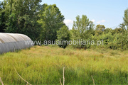 Terreno Rstico - Caldelas, Amares, Braga - Miniatura: 4/8