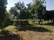 Terreno Rstico - Ferreiros, Amares, Braga - Miniatura: 8/8