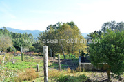 Outros T5 - Amares, Amares, Braga - Miniatura: 5/9
