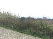 Terreno R�stico - Carre�o, Viana do Castelo, Viana do Castelo - Miniatura: 9/9