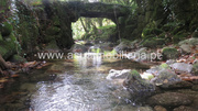 Terreno R�stico - Bouro (Santa Maria), Amares, Braga - Miniatura: 1/9