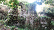 Terreno R�stico - Bouro (Santa Maria), Amares, Braga - Miniatura: 2/9