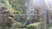 Terreno R�stico - Bouro (Santa Maria), Amares, Braga - Miniatura: 3/9