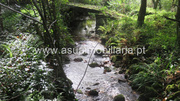 Terreno R�stico - Bouro (Santa Maria), Amares, Braga - Miniatura: 4/9
