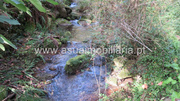 Terreno R�stico - Bouro (Santa Maria), Amares, Braga - Miniatura: 6/9