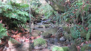 Terreno R�stico - Bouro (Santa Maria), Amares, Braga - Miniatura: 9/9