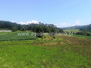 Terreno R�stico - Ferreiros, Amares, Braga - Miniatura: 2/3