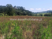 Terreno R�stico - Ferreiros, Amares, Braga - Miniatura: 3/3