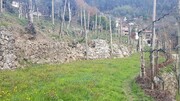 Terreno R�stico - Ribeira, Terras de Bouro, Braga - Miniatura: 4/9