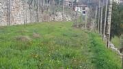 Terreno R�stico - Ribeira, Terras de Bouro, Braga - Miniatura: 6/9