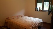 Terreno R�stico - Ribeira, Terras de Bouro, Braga - Miniatura: 7/9